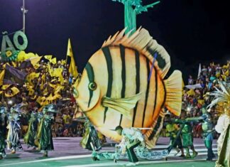 MPAM recomenda medidas para coibir venda de bebidas alcoólicas a crianças, adolescentes e indígenas no Festival do Peixe Ornamental