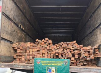 Polícia Militar do Amazonas prende dois homens por envolvimento em crime ambiental