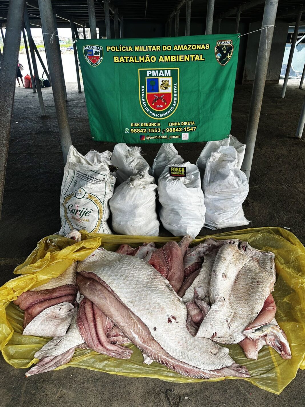 SSP-AM_BASE_ARPÃO_APREENDE_PESCADO_FOTO_DIVULGAÇÃO_SSP_AM (2)