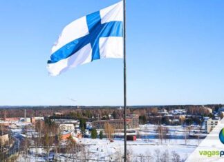 Work in Finland realiza evento online para apresentar oportunidades para talentos e fundadores de startups do AM