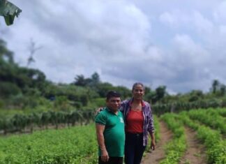 Programa Balcão de Agronegócios impulsiona comercialização de produtos regionais no Amazonas