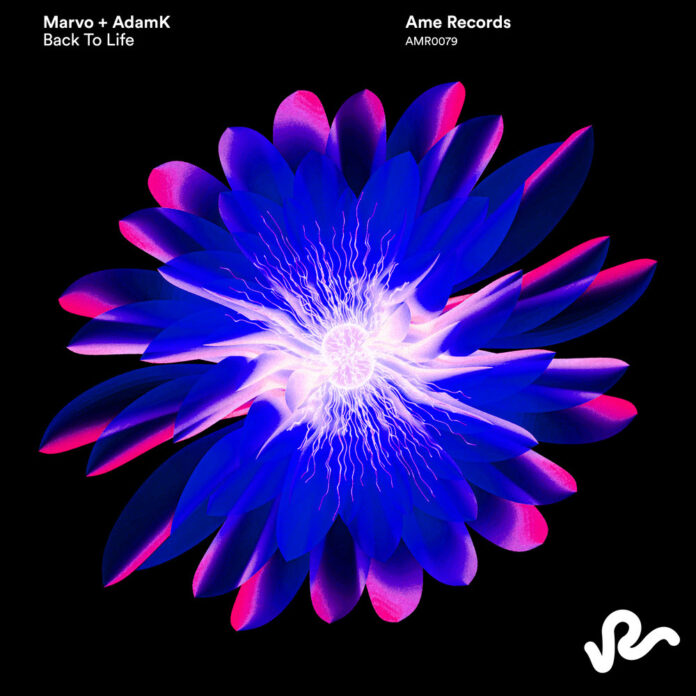 AdamK e Marvo lançam “Back to Life” pela Ame Records