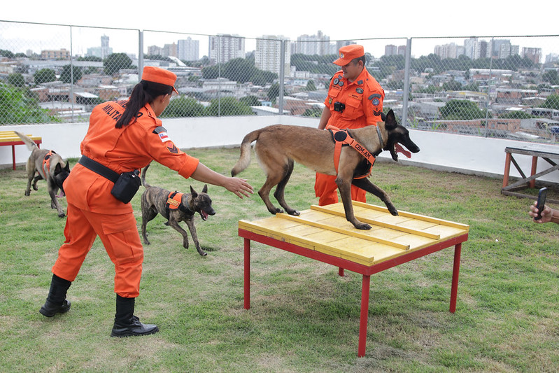 Foto: Arthur Castro / Secom
