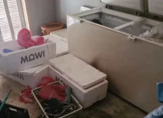 Mulher é suspeita de esquartejar, carbonizar e esconder corpo do marido em freezer