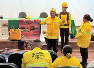 Bombeiros Florestais Civis do Amazonas ganham força no WCD 2025 em Manaus com apoio do Instituto Valendo