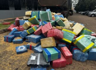 Operação entre Policiais apreendem mais de 7 toneladas de maconha