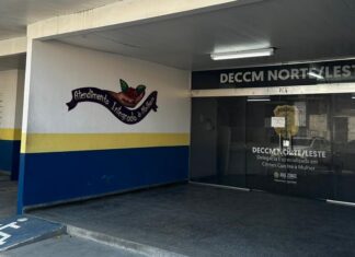 Polícia Civil prende homem em flagrante por lesão corporal contra ex-companheira no bairro Cidade Nova