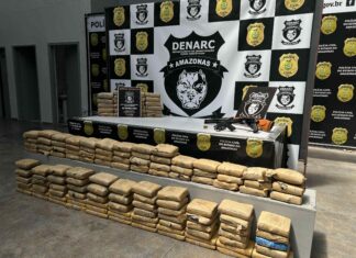 PC-AM apreende 156 quilos de maconha avaliados em R$ 3,2 milhões e prende homem em flagrante com três armas de fogo