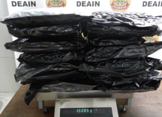 Polícia prende sete pessoas com quase 100 kg de skunk e cocaína em cápsulas