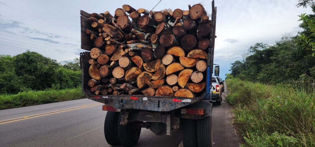 Foto: Divulgação / Ipaam