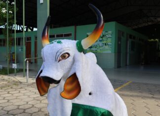 FUnATI aproxima idosos da cultura regional com escolha do nome do boi-bumbá da instituição