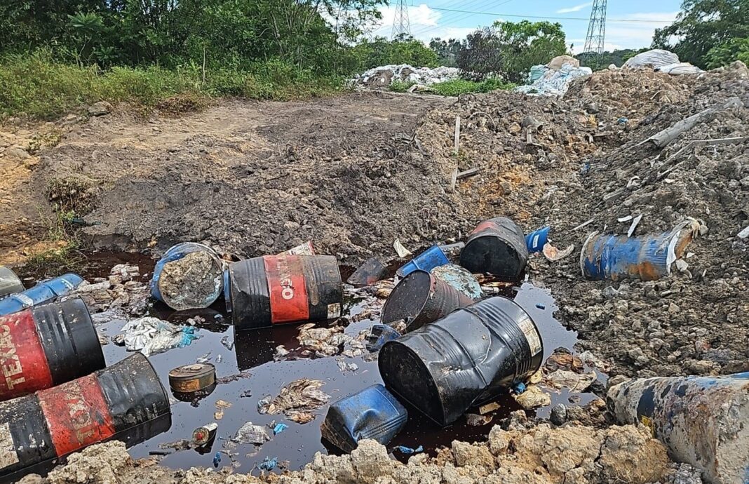 Foto: Divulgação / Ipaam