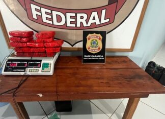 PF apreende 6kg de drogas em município de Santo Antônio do Içá/AM