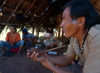 Concurso da Funai 2025 tem vagas no Amazonas e salários de até R$ 6,6 mil