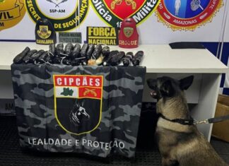 Base Arpão 3: Cadela policial encontra oito quilos de pasta-base escondida no banheiro de embarcação