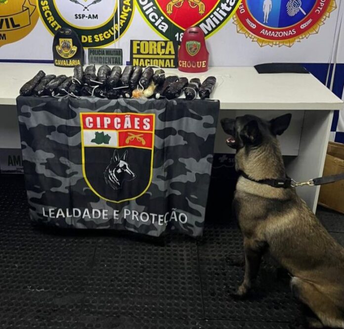 Foto: Divulgação / SSP-AM