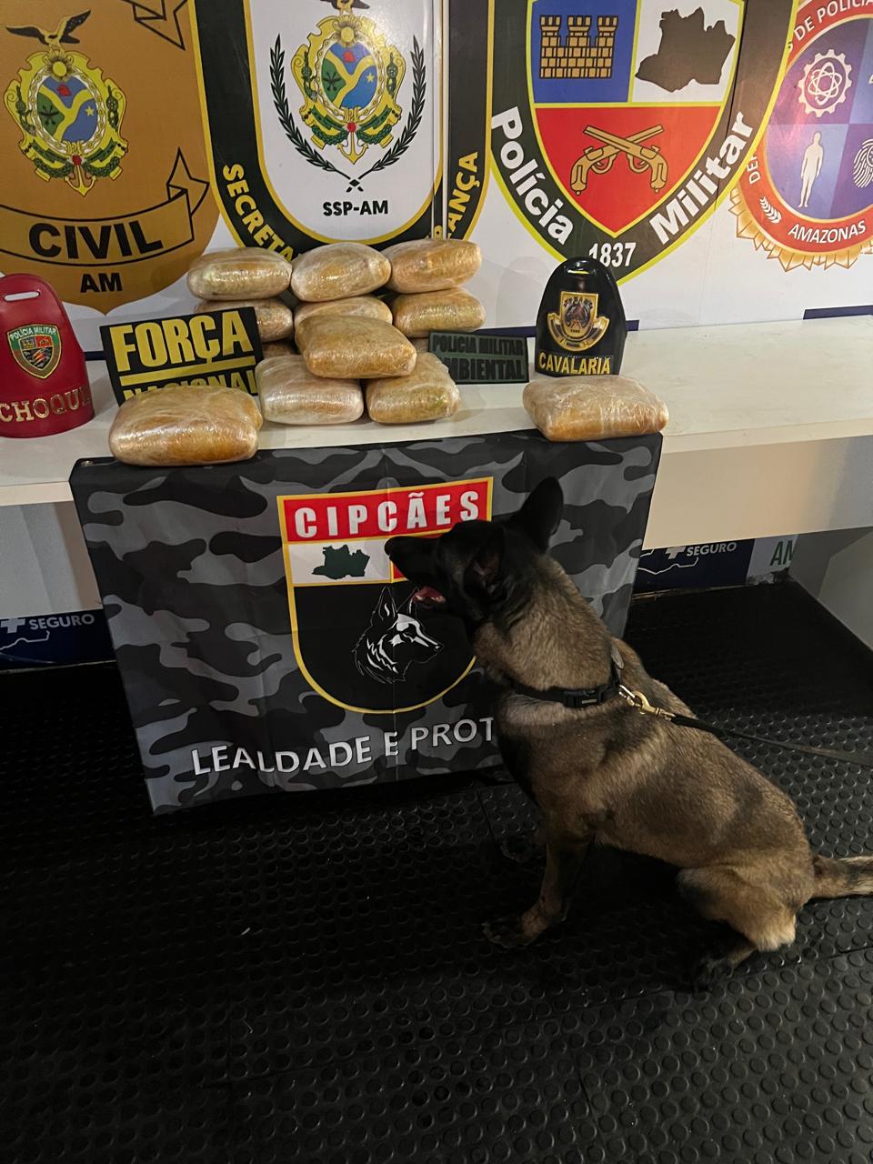 SSP-AMBASE_ARPÃO_DROGAS_BAGAGENS_FOTOS_DIVULGAÇÃO_SSP_AM