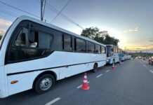 NOTA transporte coletivo: TRT-11 determinando a manutenção de 80% da frota em circulação nos horários, das 6h às 9h e das 17h às 20h, e de 50% nos demais horários, sob pena de multa de R$ 120 mil por hora em caso de descumprimento.