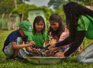 Artigo: Estratégias de Educação Ambiental e Qualificação Profissional no Amazonas: Relato de experiências da Prefeitura de Manaus e Fundação Amazônia Sustentável – Por Ronaldo Aleixo
