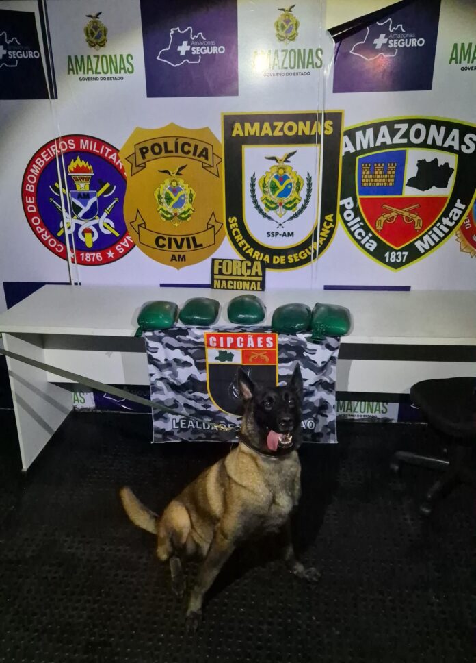 Foto: Divulgação / SSP-AM