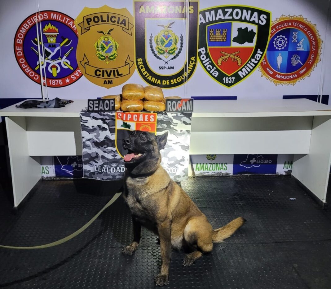 Foto: Divulgação / SSP-AM