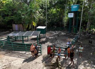 Comunidade no Parque Nacional do Jaú recebe, pela primeira vez, sistema de água potável com energia solar