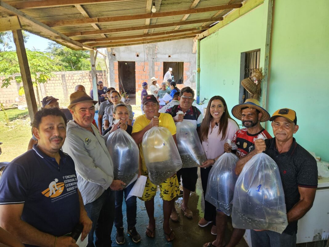 Foto: Renan Pinheiro / Idam