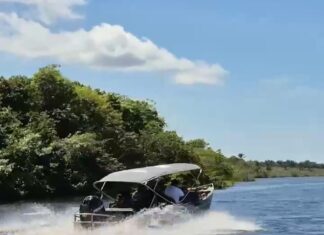 Polícia Civil do Amazonas prende três irmãos por doparem e estuprarem adolescente em Nhamundá