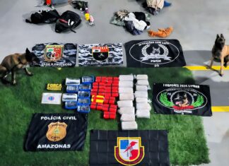 Base Arpão 3: Cadela policial encontra 40 quilos de drogas em bagagens