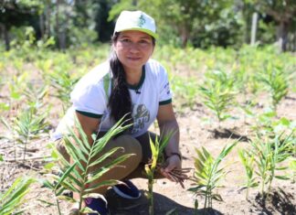 Governo do Amazonas e Sebrae realizam Dia de Campo com foco na regularização fundiária rural em Rio Preto da Eva