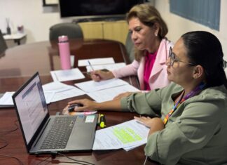 CMDU soma 214 processos analisados nos seis primeiros meses do ano