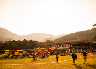 Conheça Cores do Engenho, festival que une natureza e música