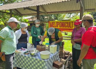 Prefeitura de Parintins apresenta resultado do incentivo à produção de mel de abelha sem ferrão