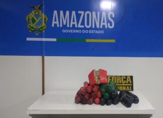 Base Arpão 3: Forças de Segurança apreendem mais de R$ 600 mil em drogas