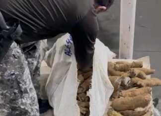 Base Arpão: PMAM apreende droga escondida dentro de sacos com macaxeira