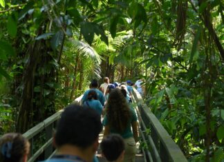 Ipaam recebe estudantes no Bosque Vandete Rocha e abre agenda de visitação para escolas e universidades