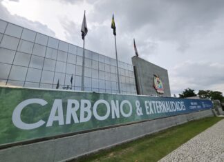 TCE-AM terá seminário sobre mercado de carbono e uso sustentável do patrimônio florestal