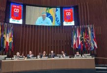 “Não vão restringir a circulação das nossas ideias”, afirma Alexandre Padilha em participação virtual na OPAS