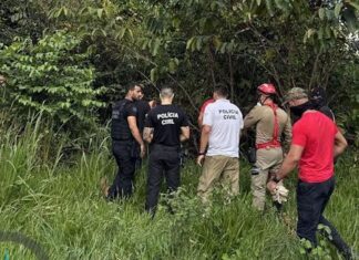 PC-AM prende homem por ocultação de cadáver da ex-companheira e posse ilegal de arma de fogo em Boca do Acre