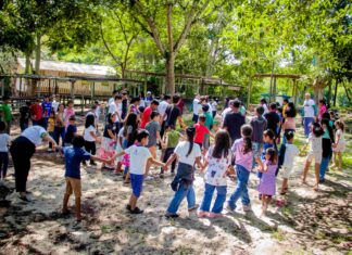 Comunidade NSª do Livramento sedia projeto cultural Cineclube Mapinguari