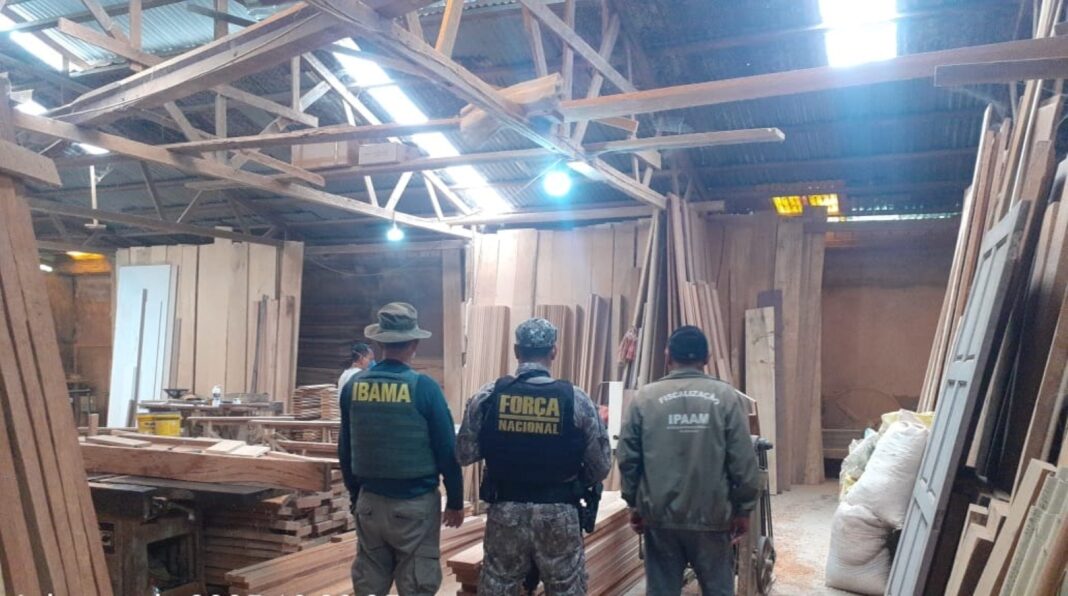 Foto: Divulgação / Ipaam