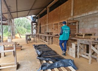 Ipaam orienta que serrarias devem ter licenciamento ambiental para funcionar