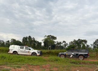 Operação Red Flag 3 resulta na prisão de sete pessoas por organização criminosa, tráfico de drogas e homicídios em Envira