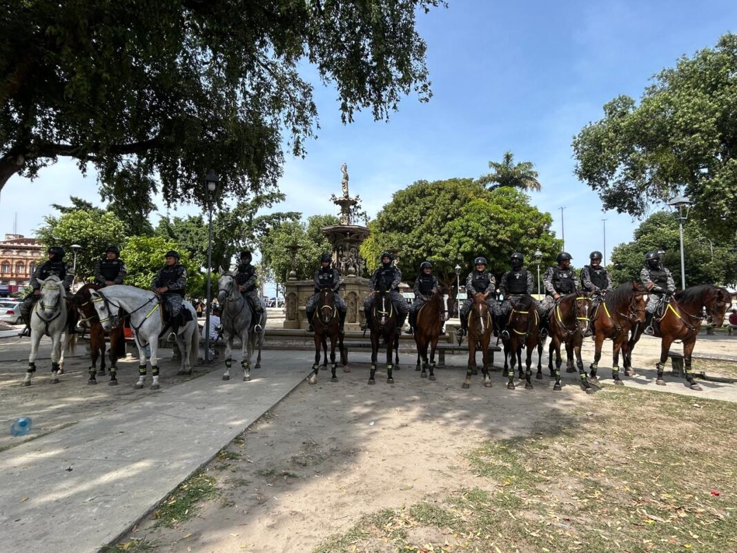 Foto: Giselle Simões / PMAM