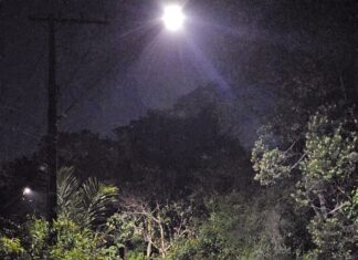 Polícia Militar do Amazonas desativa artefato explosivo na zona oeste de Manaus