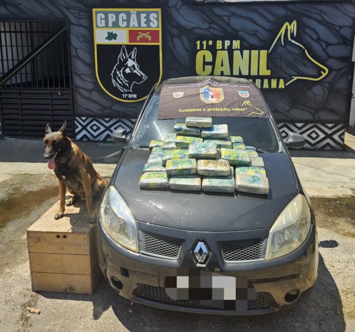 Foto: Divulgação / PMAM