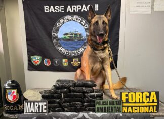 Cadela policial localiza entorpecentes armazenados no forro do banheiro de uma embarcação