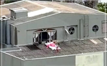 Vídeo: Crianças são flagradas brincando em telhado de prédio