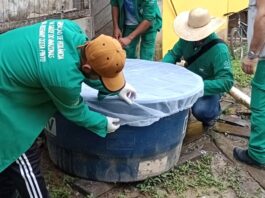 Com a chegada das chuvas, FVS-RCP reforça medidas contra arboviroses