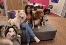 No mês da Saúde Mental, cães levam bem-estar e empatia ao escritório da Serasa Experian